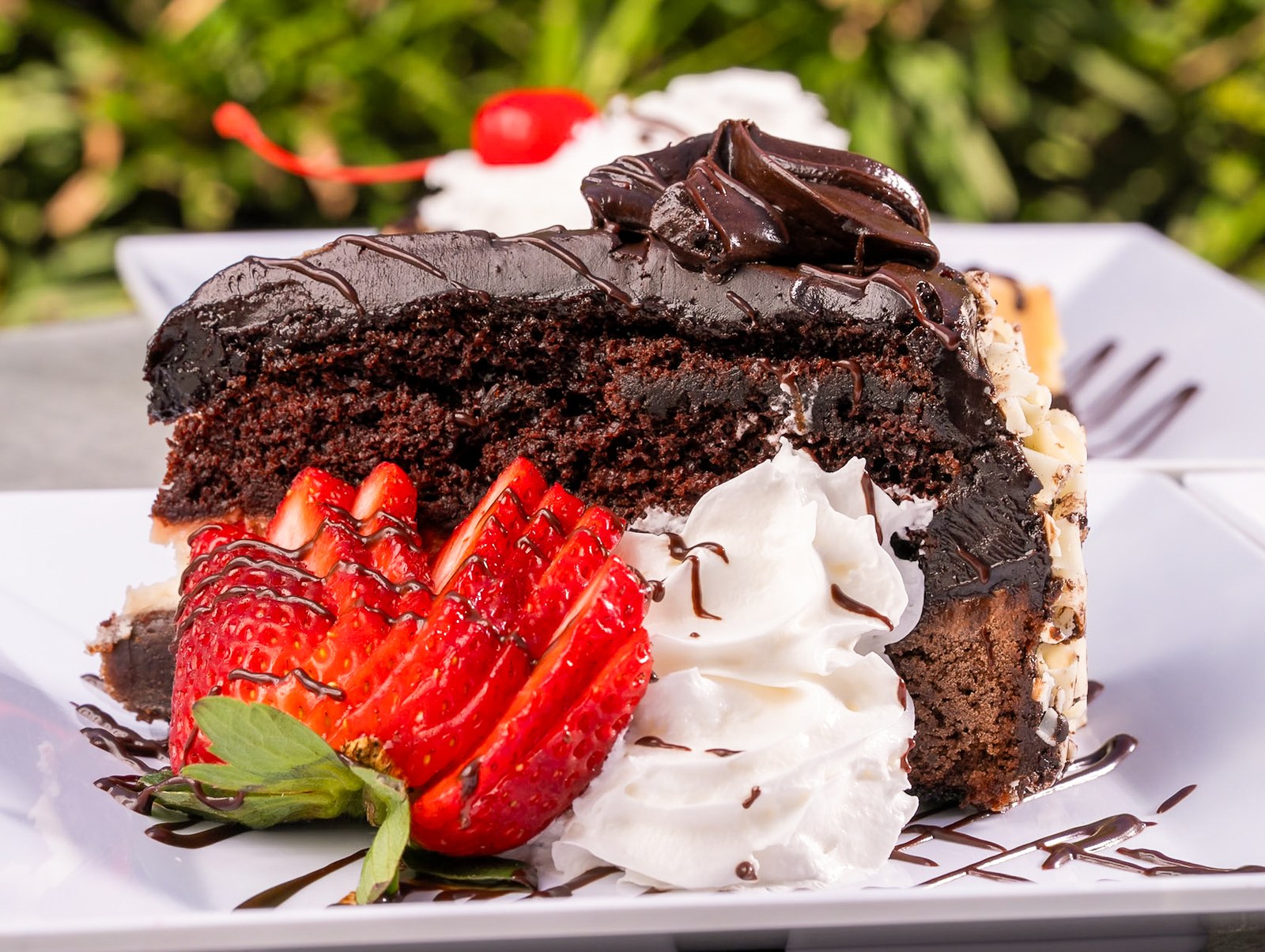 Sami's chocolate cake with strawberries and whipped cream