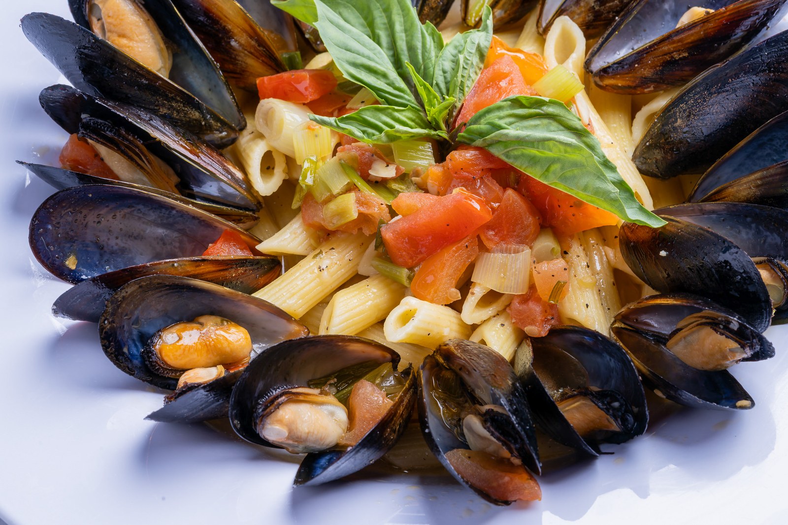 Sautéed mussels with penne pasta and tomato